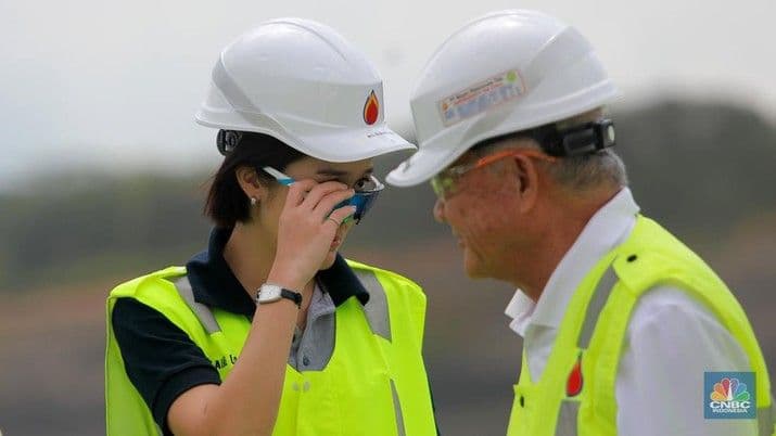 Elaine Low, Anak Konglomerat RI Dapat Kado Saham Rp 122 T