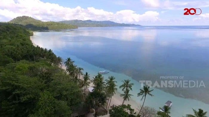 Paket 25 Kg Kokain Diduga Asal Kolombia Terdampar di Pantai Selayar