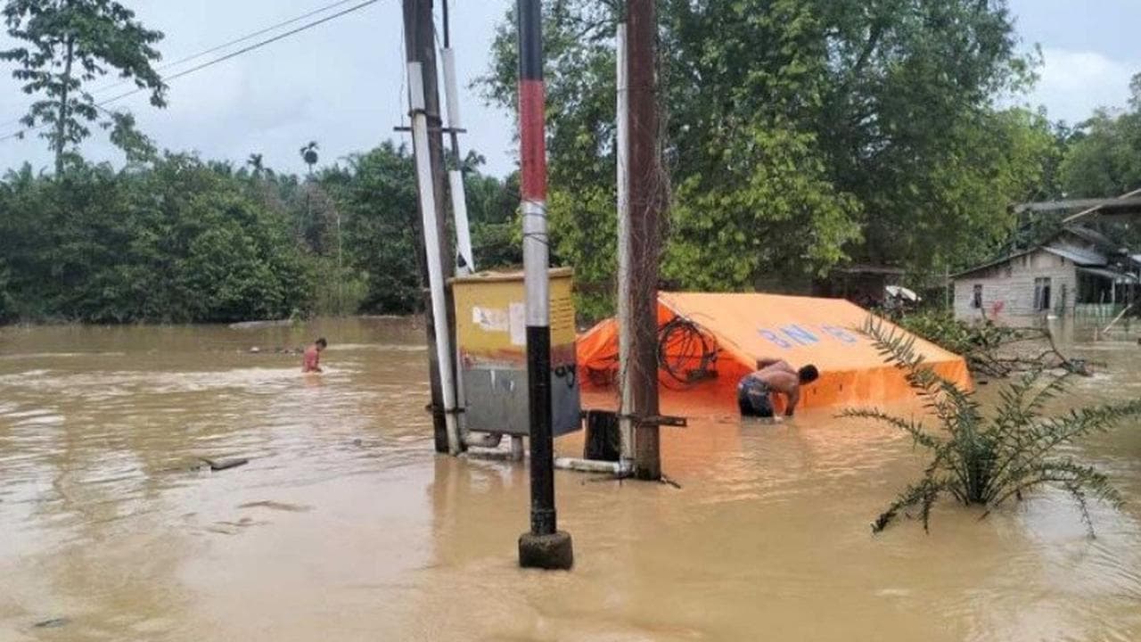 Banjir Kembali Rendam 5 Kecamatan di Aceh Timur, Ketinggian Air Capai Dada Orang Dewasa