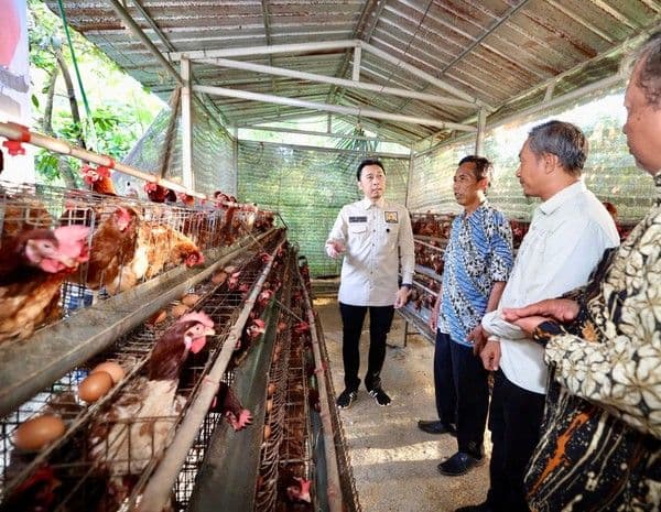Ibas Ajak Peternakan Desa Perkuat Pasokan Pangan untuk Program MBG